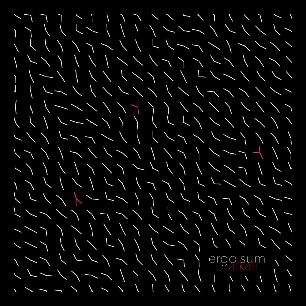 Ergo Sum cover art
